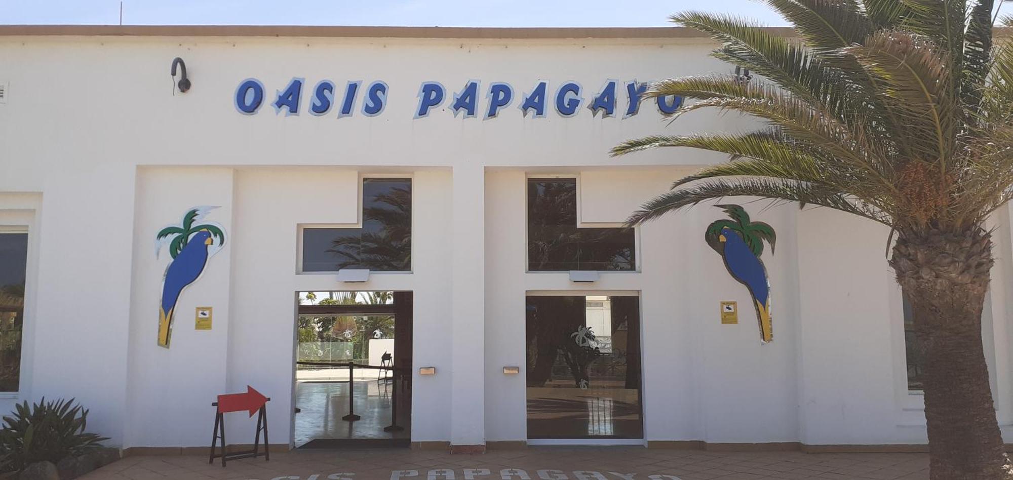 Appartement Oasis Waves House Papagayo à Corralejo Extérieur photo